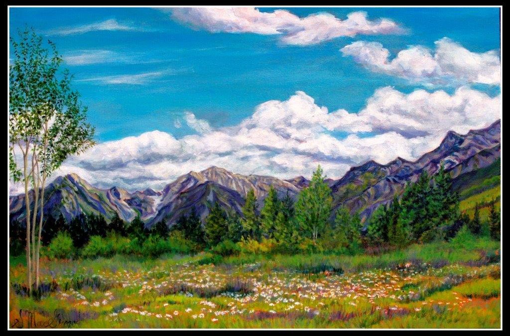 Fernie-Summer-Daisies-1